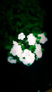 IMG_14166322_edit_1