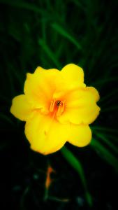 IMG_14166328_1