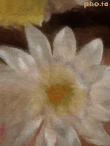 fe6ebd56_o(1)