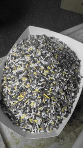 IMG_14166248_yellow_edit(1)