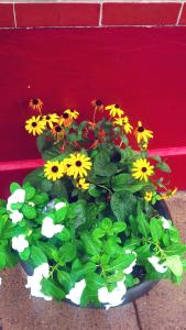 IMG_14167147_1