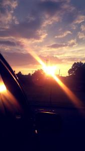 IMG_14167194_1