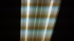 IMG_14167335