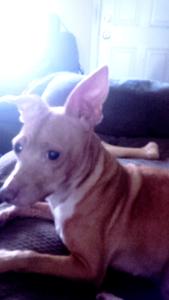 IMG_14167376_1(1)