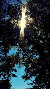 IMG_14168938(1)_1