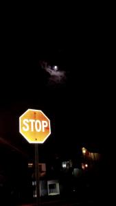 IMG_14168307(1)_1
