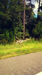 IMG_14168439(1)_1(1)