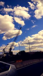 IMG_14168486(1)_1(1)