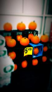 IMG_14169082_1