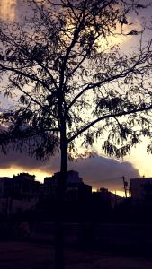 IMG_14169343_1(1)