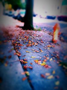 IMG_14169389_1_2(1)