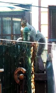 IMG_14169618