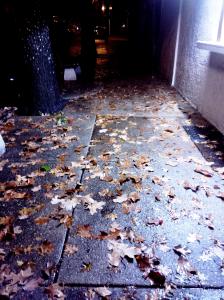 IMG_14169808_1