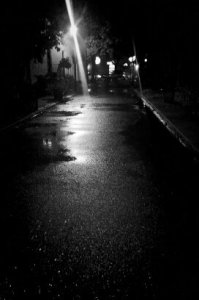 IMG_1560