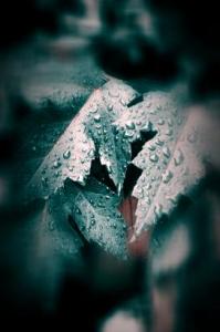IMG_5919_3
