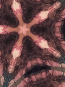 imageedit_2_9109503518