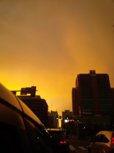 IMG_14169506(1)