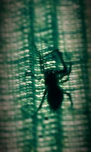 IMG_14170052(1)