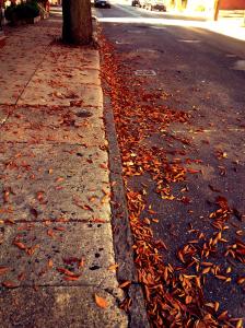 IMG_14170071_1