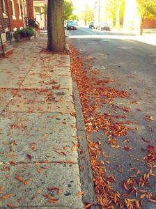 IMG_14170072_1