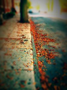 IMG_14170072_1_1