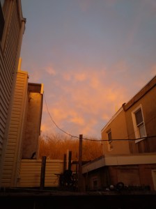 IMG_14170379