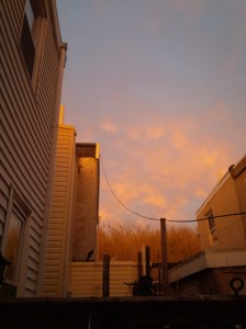 IMG_14170380