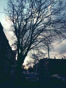 IMG_14170475_1
