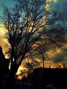 IMG_14170476_1