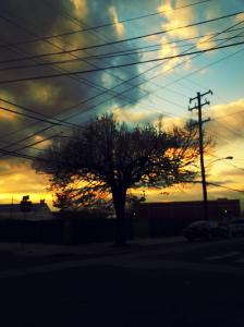 IMG_14170480_1