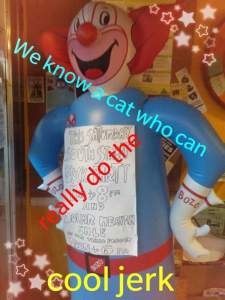 10265455_10102299184916873_4521543280937256848_o(2)