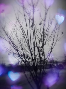 1450578111915eSmart_16___fancy2