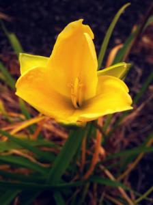 IMG_14170883_1
