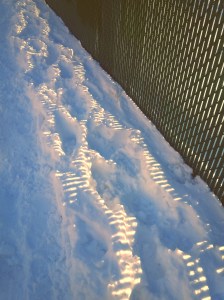 20160125204401