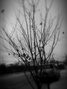 IMG_14170761_1(1)(1)