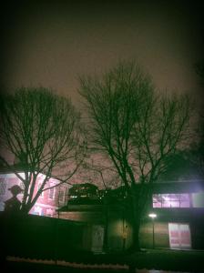 IMG_14171164(1)_1