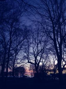 IMG_14171576_1(1)