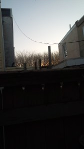 IMG_14172695