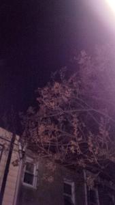 IMG_14172720_1