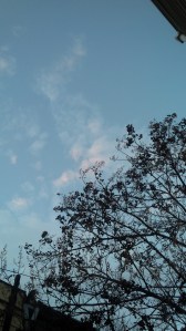 IMG_14173045