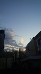IMG_14173046