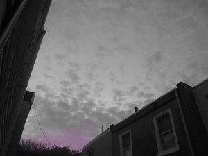 aprilsunrise 024(1)