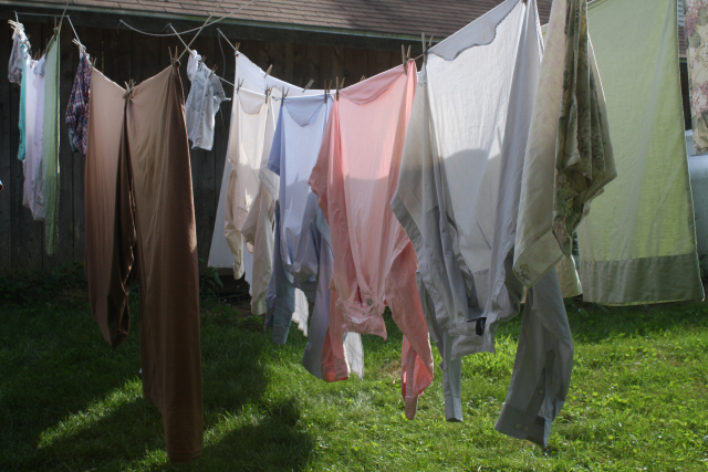 Pastels in Sunlight