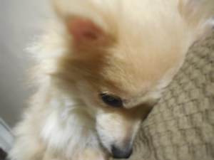 thirdpics 137(2)