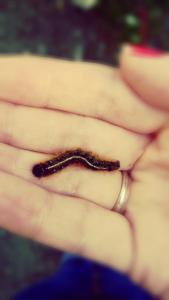IMG_14173402_1