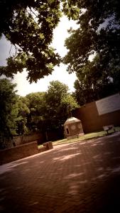 IMG_14173692_1