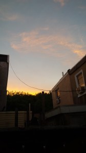 IMG_14173731
