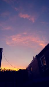 IMG_14173734_1