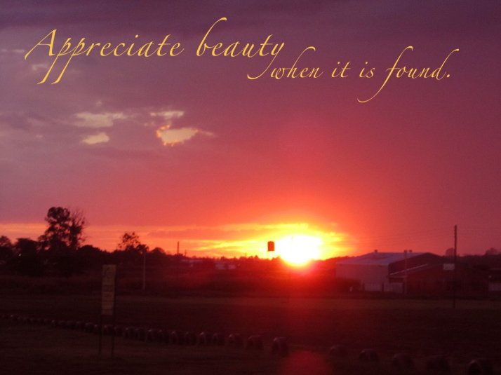 1659191438-appreciate-beauty-when-it-is-found-beauty-quote