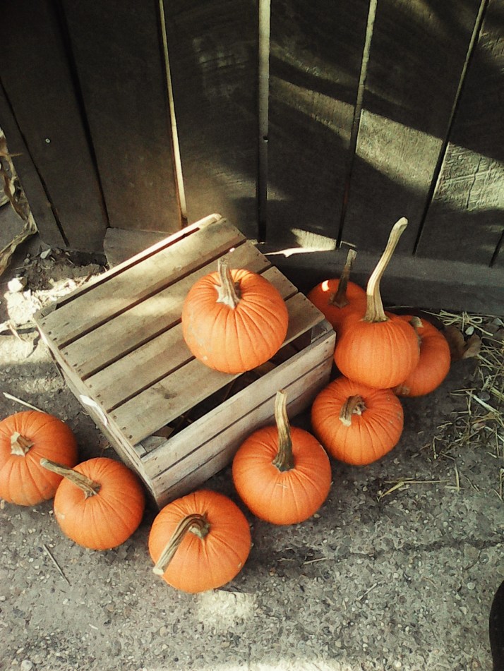 img_20161031_142251-01.jpeg